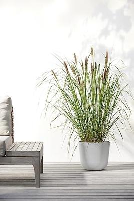 Ecopots Oslo kunststof bloempot Wit/Grijs - Ø 23,4 cm