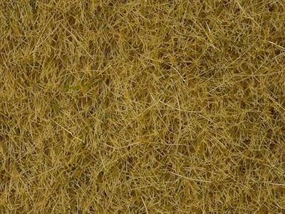 NOCH 07101 Wildgras Beige