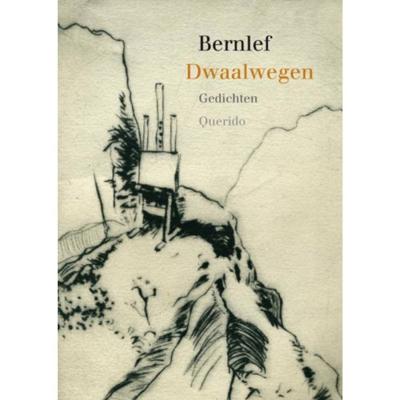 Dwaalwegen (Paperback)