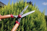 Heggenschaar speciaal - thumbnail