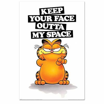 Poster Garfield - Keep Your Face 61x91,5cm Poster Garfield - Keep Your Face 61x91,5cm