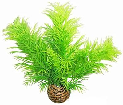 Easy plants small13cm nr. 9