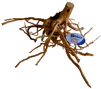 Spiderwood Large aquaria SuperFish - Superfish - thumbnail