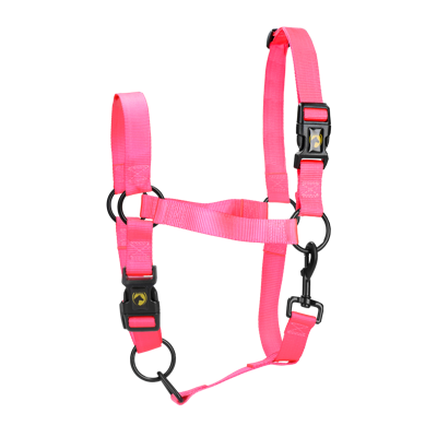 Excellent Horse Essential Halster L Cob Roze