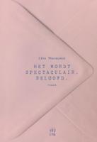 Het wordt spectaculair. Beloofd - Zita Theunynck - ebook - thumbnail