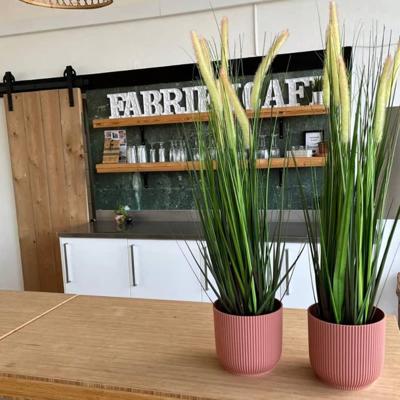 Wants&Needs Plants Kunstplant Alopecurus Grass