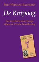 De knipoog - Mily Weisglas-Kaufmann - ebook - thumbnail