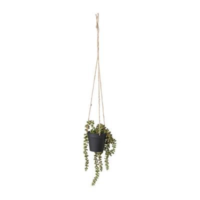 Hangplantje in pot - zwart - 9x9x70 cm
