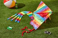 Günther Flugspiele Eenlijns Vlieger Rainbow Spanwijdte 970 mm Geschikt voor windsterkte 3 - 6 bft - thumbnail