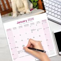 Labrador Retriever Blond Kalender 2026 - thumbnail