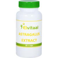 Elvitum Astragalus Extract Capsules - thumbnail