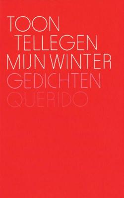 Mijn winter - Toon Tellegen - ebook