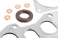 Complete pakkingsset, motor 50278400 - thumbnail