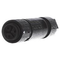 Wieland Electric 46.031.4553.1 Ronde connector Koppeling, recht Totaal aantal polen: 2 + PE Serie (ronde connectoren): RST® MINI 1 stuk(s) - thumbnail