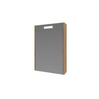 Spiegelkast Proline Premium Met Houten Deur Geïntrigeerd LED Verlichting 50x14x60 cm Whisky Oak - thumbnail