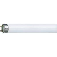 OSRAM HOMELIGHTING TL-lamp Energielabel: G (A - G) G13 58 W Warmwit Buis (Ø x l) 25.5 mm x 1514.2 mm 1 stuk(s) - thumbnail