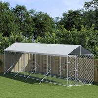 Hondenkennel met dak 2x10x2,5 m gegalvaniseerd staal zilver - thumbnail
