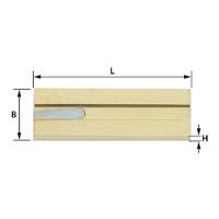 ENT HM keermes 20x5,5x1,1 - 7900300 - thumbnail