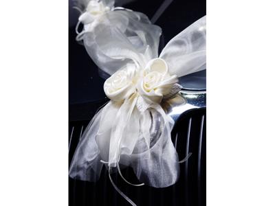 PartyDeko Auto versiering (15-3005-1-1)