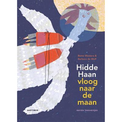 Hidde Haan vloog naar de maan (Hardback)