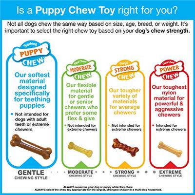 NYLABONE PUPPY CHEW BIJTSLEUTELS BACONSMAAK - thumbnail