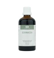 van der Pigge Echinacea purpurea 100 Milliliter - thumbnail