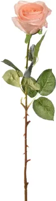 Pure Royal kunsttak roos 65cm perzik Pure Royal kunsttak roos 65cm perzik