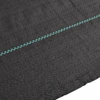 Worteldoek 4x25 m polypropeen zwart - thumbnail