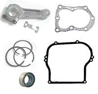 Kleinbladige klimop mobilane kant en klaar haag - thumbnail