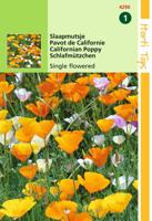 Zaden Eschscholtzia Slaapmutsje enkelbloemig gemengd Hortitops - Hortitops - thumbnail