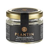 Plantin - Zomertruffel (Heel) - 12,5g - thumbnail