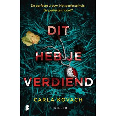 Dit heb je verdiend (Paperback)