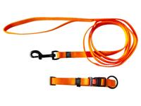 Karlie Halsband met lijn (Grijs) - thumbnail