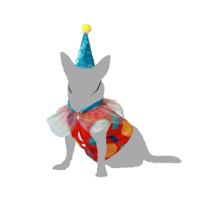 Kostuum voor honden Maat S Clown - thumbnail