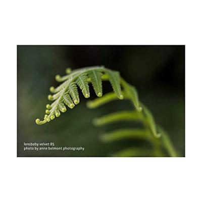 Lensbaby Velvet 85 zwart Fuji Lensbaby Velvet 85 zwart Fuji