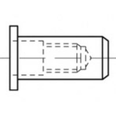 TOOLCRAFT TO-5444289 Popmoer M6 Staal 500 stuk(s)