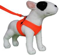 Hondentuig Comfy Harnass Mesh Fluo Orange - thumbnail