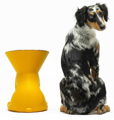 Voerbak voor honden United Pets Elisabeth Yellow Roestvrij staal Polyethyleen 1 L