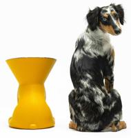 Voerbak voor honden United Pets Elisabeth Yellow Roestvrij staal Polyethyleen 1 L - thumbnail