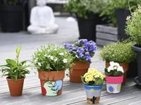 Eberhard Faber EF-575509 Schoolverf Tempera 6 Potjes - thumbnail