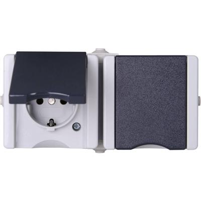 Kopp 950656001 proAQA Compleet Wandcontactdoos met randaarde en klapdeksel spatwaterdicht Grijs 2-voudig 1 stuk(s)