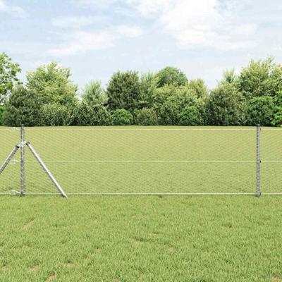 VidaXL Afrasteringspaal zilver 10 x 0,6 m (25 mm gaas) staal VidaXL Afrasteringspaal zilver 10 x 0,6 m (25 mm gaas) staal