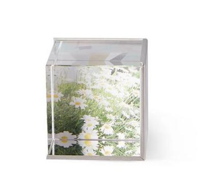 Umbra 1013709-221 fotolijst Nikkel Fotolijst voor meerdere foto's