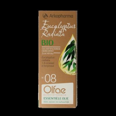 Olfae Eucalyptus radiata 08 bio 10 Milliliter