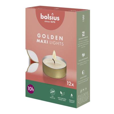 Bolsius Maxi-lichten 10-uur met gouden cup doos 12 Wit