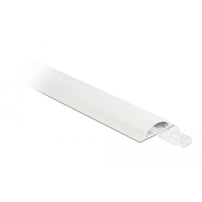 Delock 20704 Kabelgoot PVC Wit (l x b x h) 1 m x 30 mm x 8 mm 1 stuk(s)