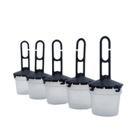 DROSO SUZUKII 5 VALLEN | Drosophila Suzukii - thumbnail