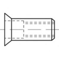 TOOLCRAFT TO-5455329 Popmoer M6 500 stuk(s) - thumbnail