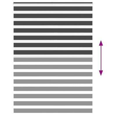 VidaXL Zebra rolgordijn 160x230 cm stofbreedte 155,9 cm zwart VidaXL Zebra rolgordijn 160x230 cm stofbreedte 155,9 cm zwart