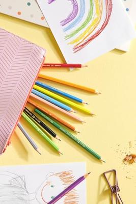 Faber Castell FC-111260 Kleurpotlood Faber-Castell Castle Zeskantig Karton Etui 60 Stuks